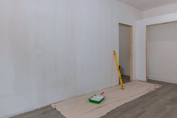 Best Drywall Removal and Disposal  in Long Neck, DE